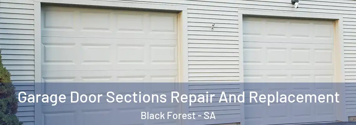  Garage Door Sections Repair And Replacement Black Forest - SA