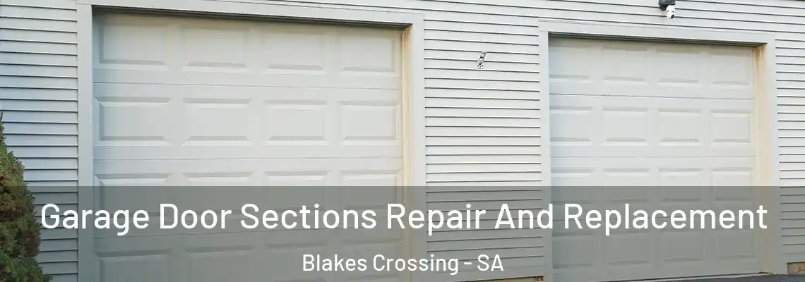 Garage Door Sections Repair And Replacement Blakes Crossing - SA