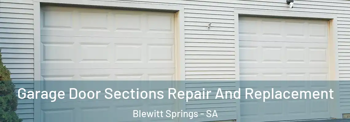  Garage Door Sections Repair And Replacement Blewitt Springs - SA