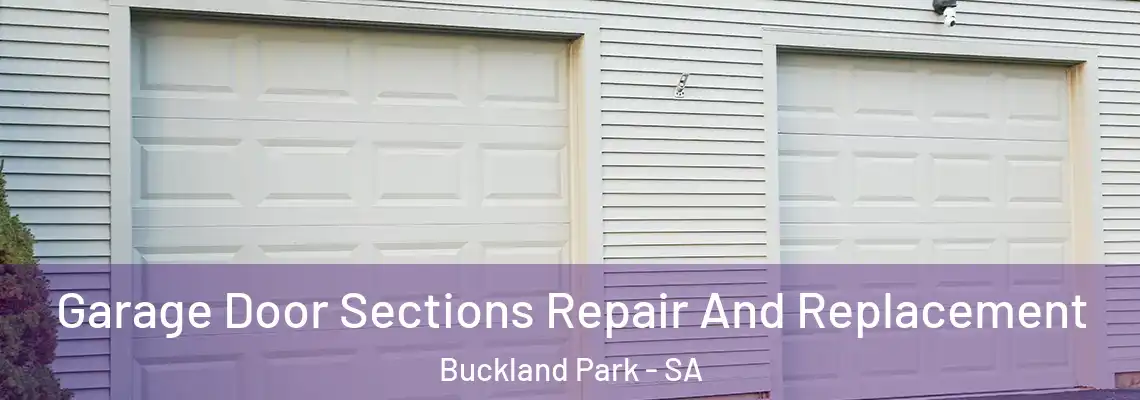  Garage Door Sections Repair And Replacement Buckland Park - SA