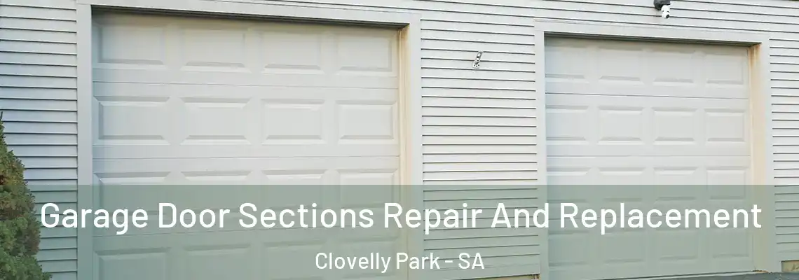 Garage Door Sections Repair And Replacement Clovelly Park - SA