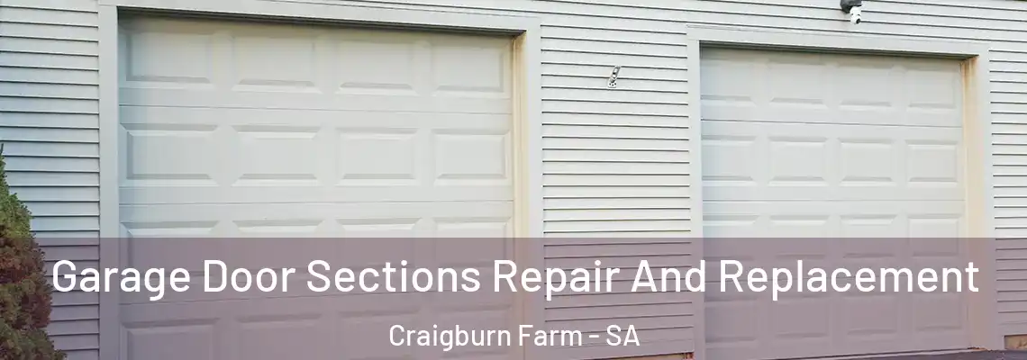 Garage Door Sections Repair And Replacement Craigburn Farm - SA