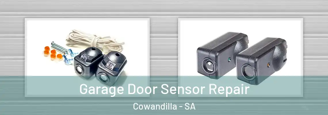  Garage Door Sensor Repair Cowandilla - SA
