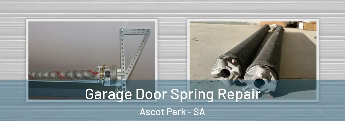  Garage Door Spring Repair Ascot Park - SA