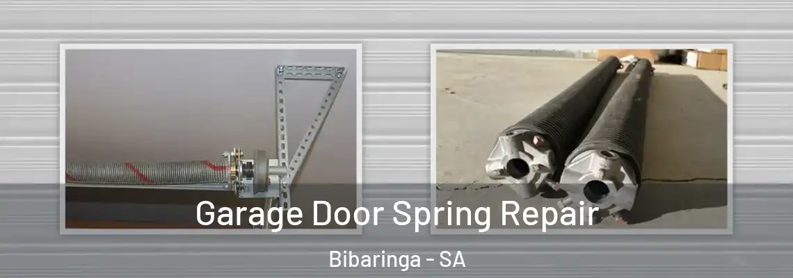 Garage Door Spring Repair Bibaringa - SA