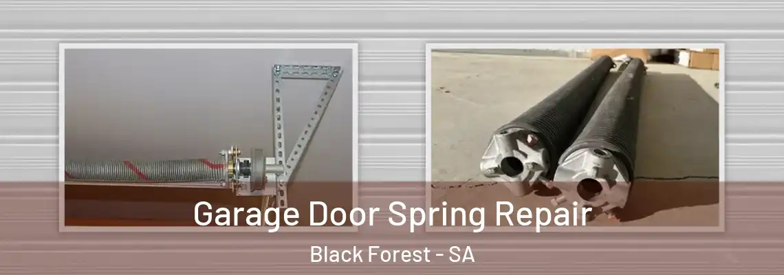 Garage Door Spring Repair Black Forest - SA
