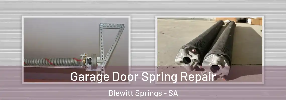 Garage Door Spring Repair Blewitt Springs - SA