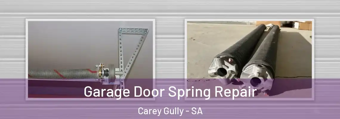  Garage Door Spring Repair Carey Gully - SA