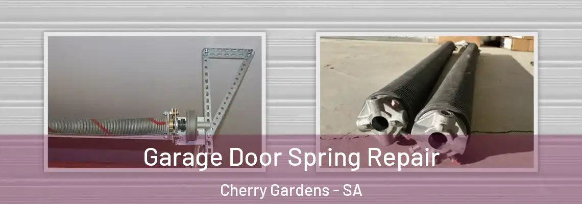 Garage Door Spring Repair Cherry Gardens - SA