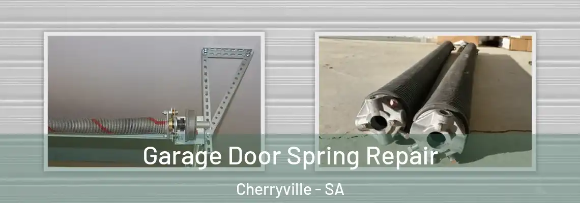  Garage Door Spring Repair Cherryville - SA