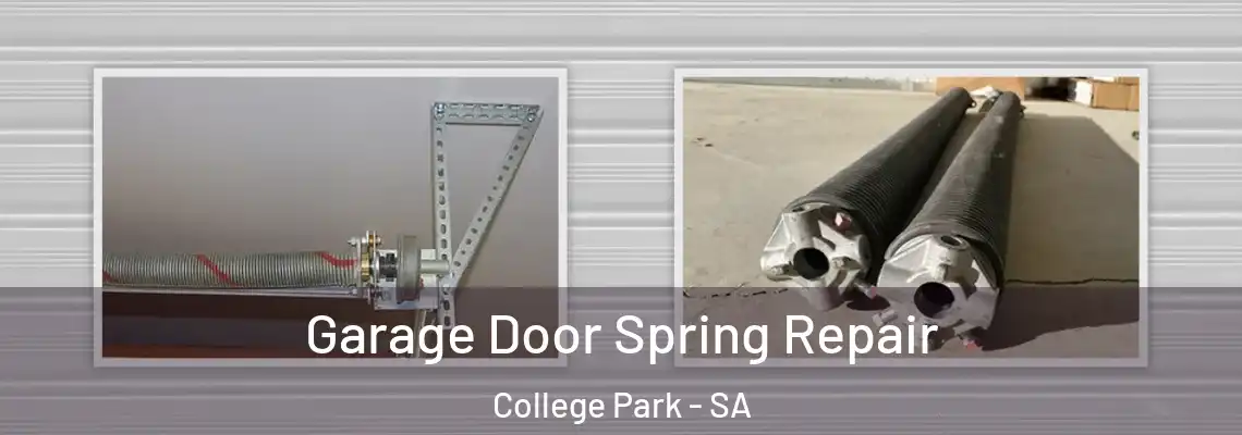 Garage Door Spring Repair College Park - SA