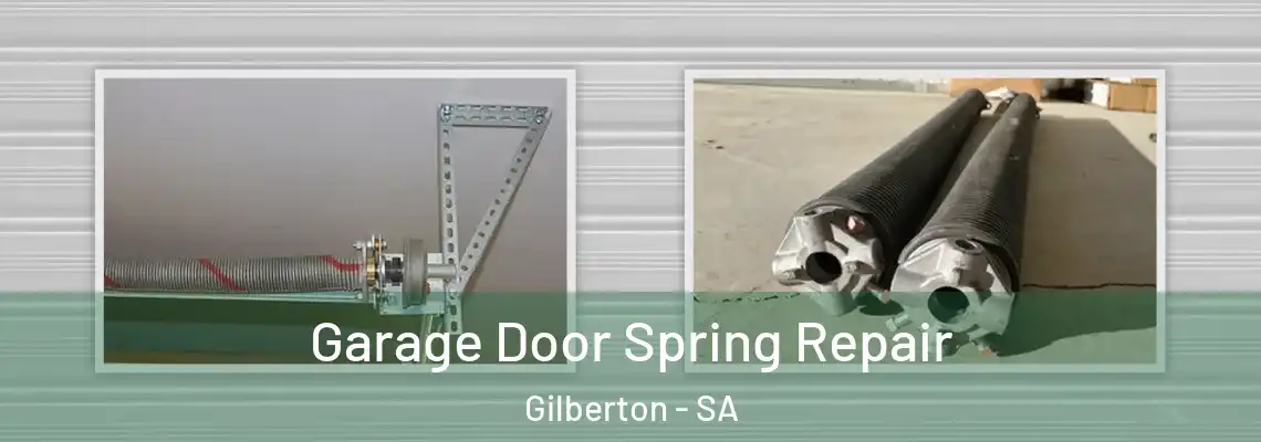 Garage Door Spring Repair Gilberton - SA