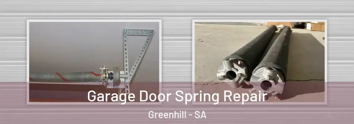  Garage Door Spring Repair Greenhill - SA