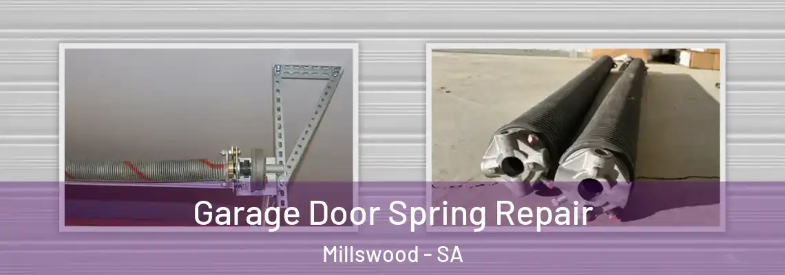 Garage Door Spring Repair Millswood - SA