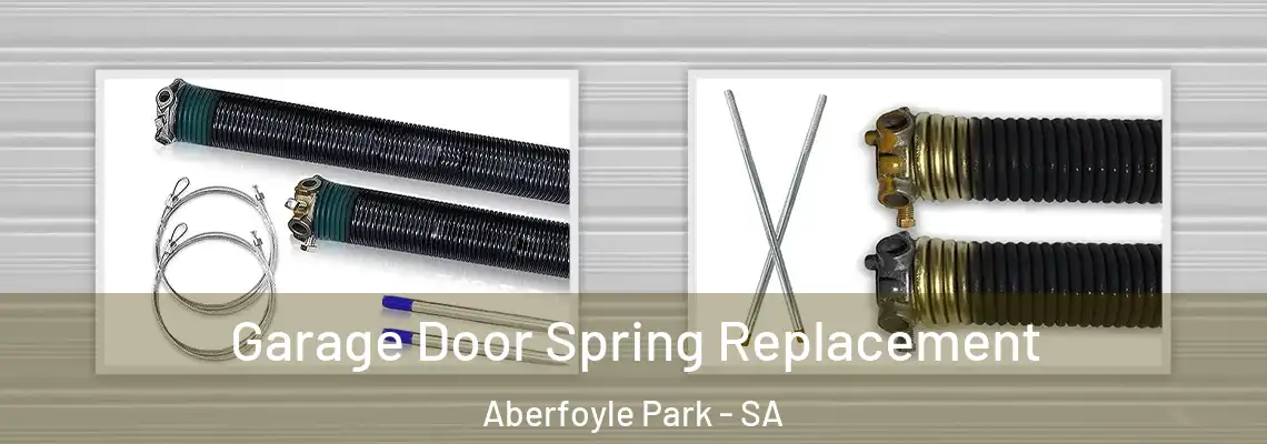 Garage Door Spring Replacement Aberfoyle Park - SA