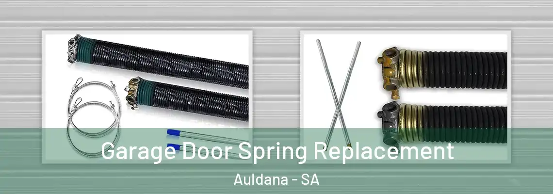 Garage Door Spring Replacement Auldana - SA