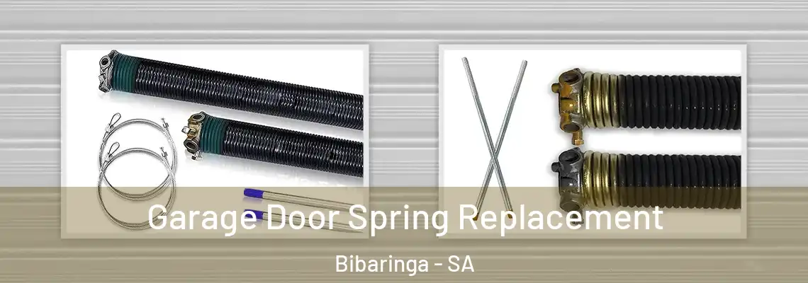  Garage Door Spring Replacement Bibaringa - SA