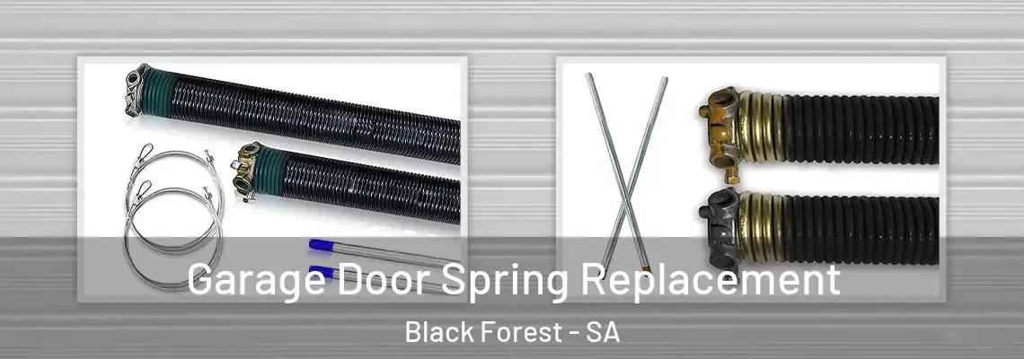 Garage Door Spring Replacement Black Forest - SA