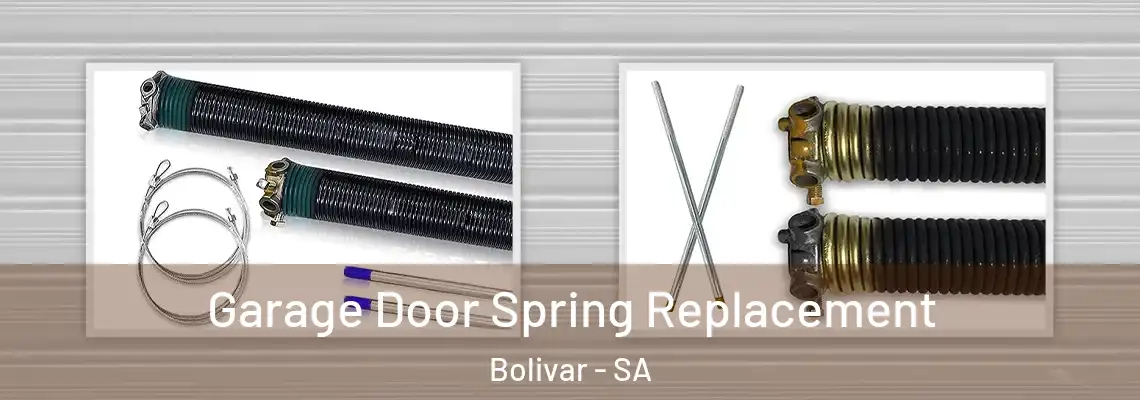 Garage Door Spring Replacement Bolivar - SA