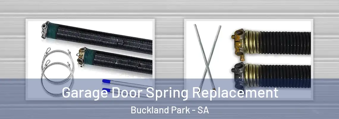  Garage Door Spring Replacement Buckland Park - SA