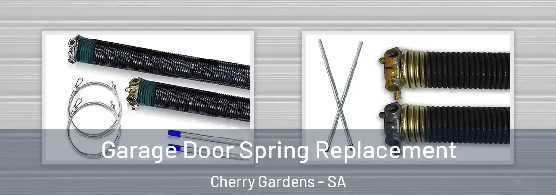  Garage Door Spring Replacement Cherry Gardens - SA