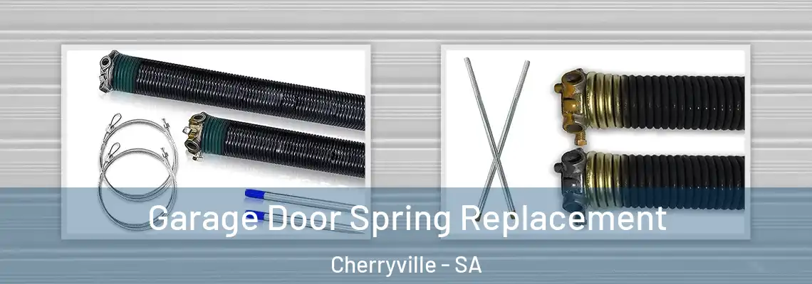  Garage Door Spring Replacement Cherryville - SA