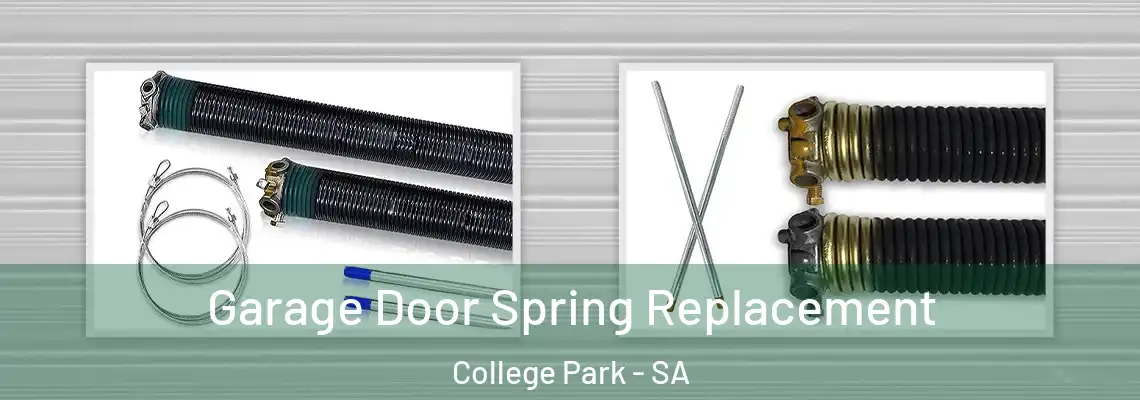 Garage Door Spring Replacement College Park - SA