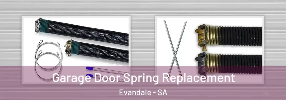 Garage Door Spring Replacement Evandale - SA