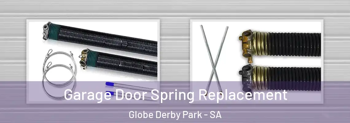 Garage Door Spring Replacement Globe Derby Park - SA