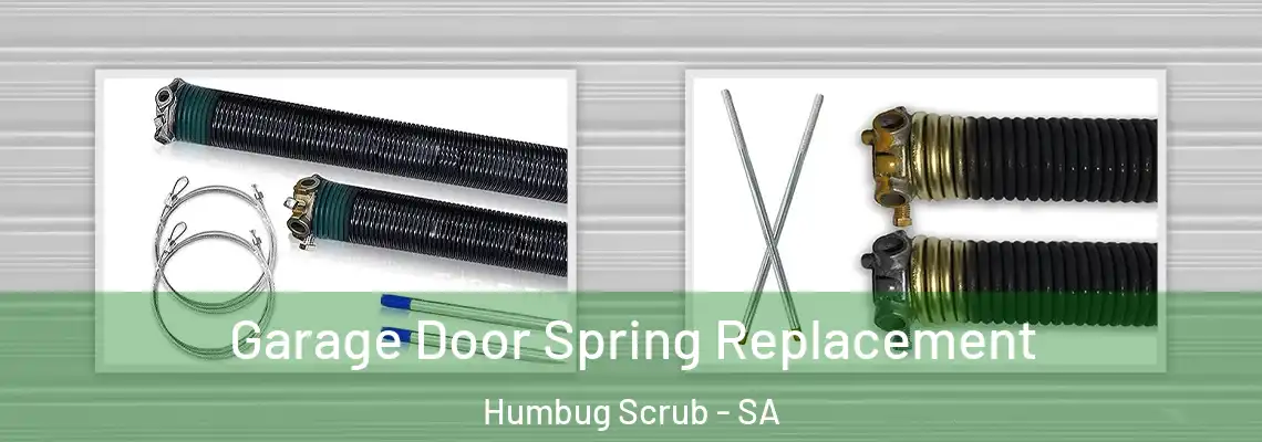  Garage Door Spring Replacement Humbug Scrub - SA