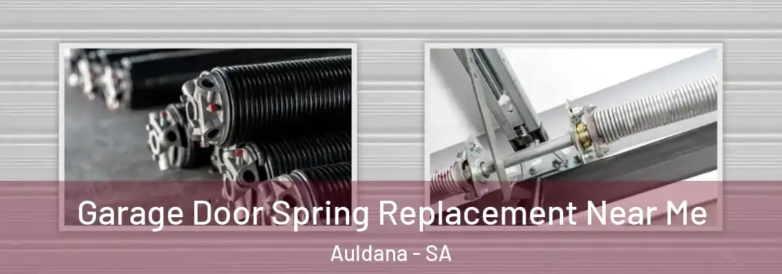 Garage Door Spring Replacement Near Me Auldana - SA