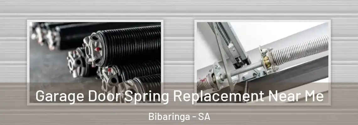 Garage Door Spring Replacement Near Me Bibaringa - SA