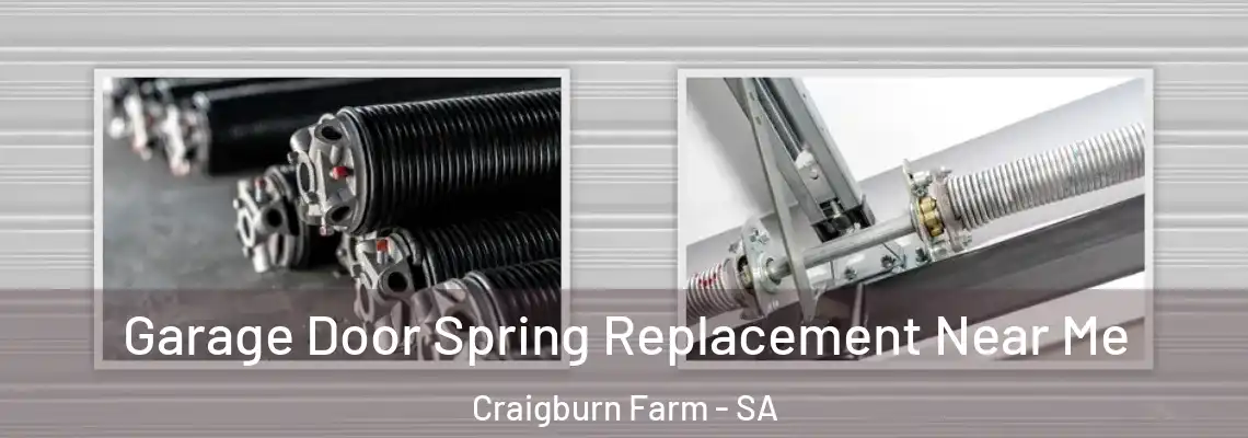 Garage Door Spring Replacement Near Me Craigburn Farm - SA