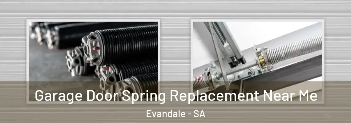  Garage Door Spring Replacement Near Me Evandale - SA