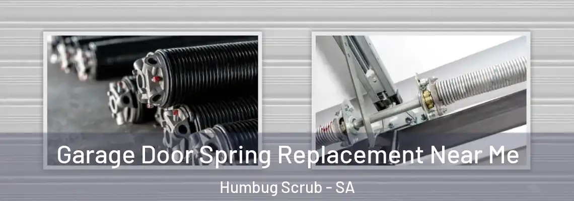 Garage Door Spring Replacement Near Me Humbug Scrub - SA