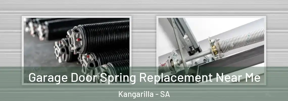  Garage Door Spring Replacement Near Me Kangarilla - SA