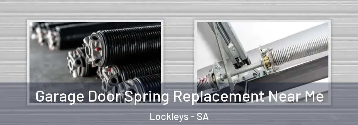 Garage Door Spring Replacement Near Me Lockleys - SA