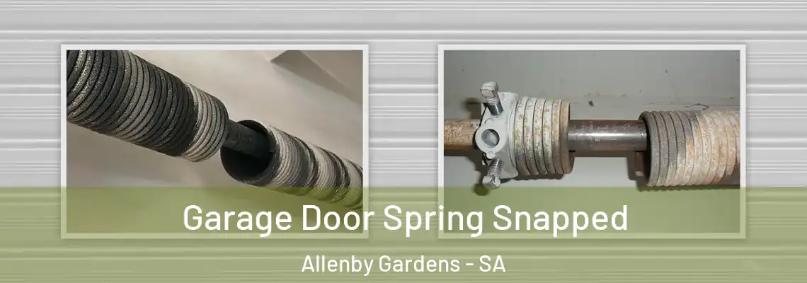 Garage Door Spring Snapped Allenby Gardens - SA