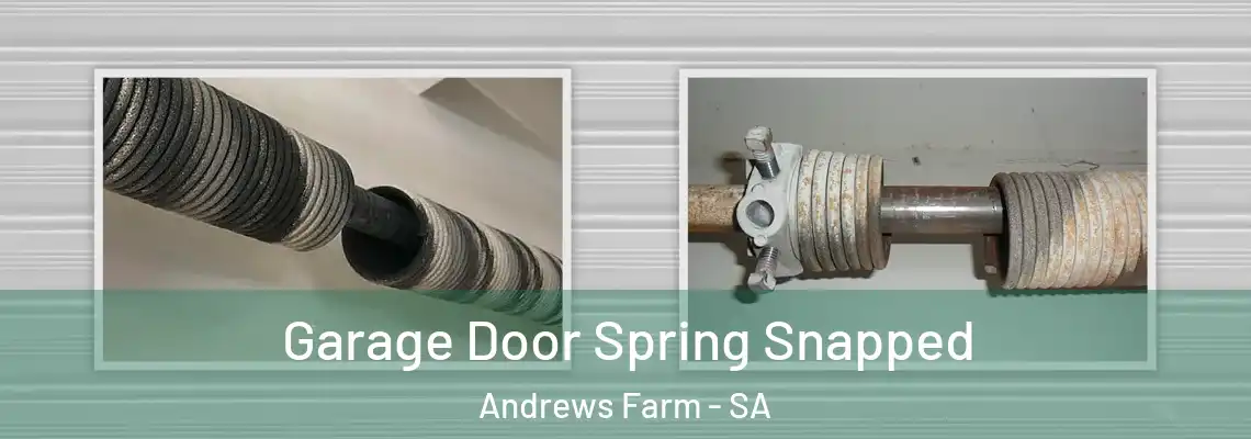 Garage Door Spring Snapped Andrews Farm - SA