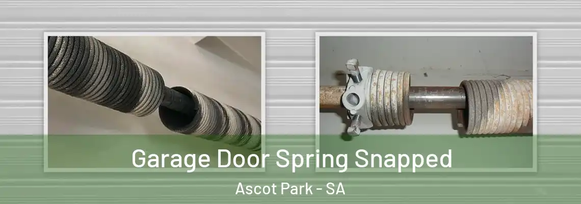  Garage Door Spring Snapped Ascot Park - SA