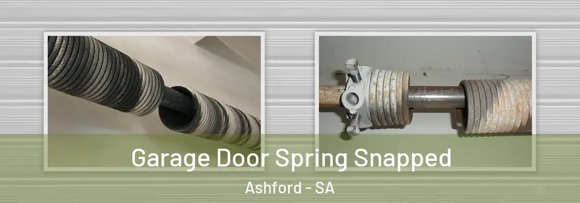  Garage Door Spring Snapped Ashford - SA