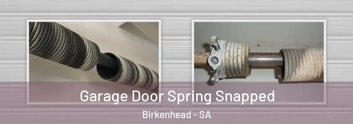  Garage Door Spring Snapped Birkenhead - SA