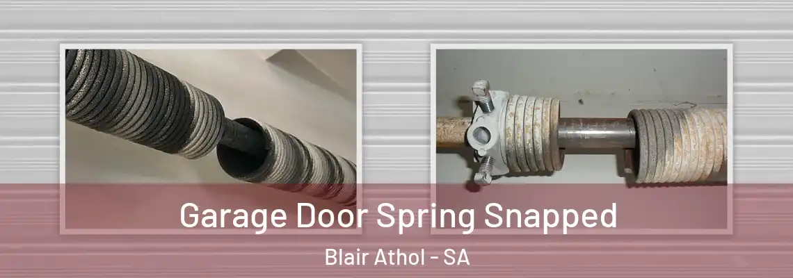  Garage Door Spring Snapped Blair Athol - SA