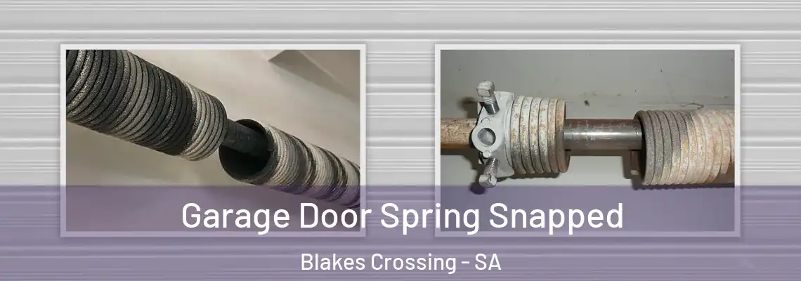  Garage Door Spring Snapped Blakes Crossing - SA