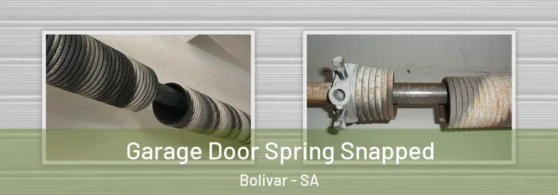 Garage Door Spring Snapped Bolivar - SA