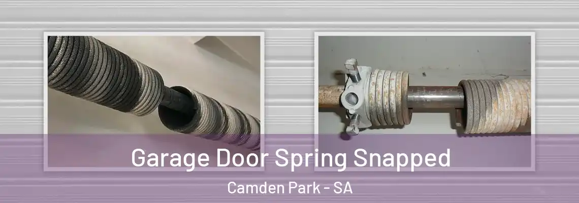 Garage Door Spring Snapped Camden Park - SA