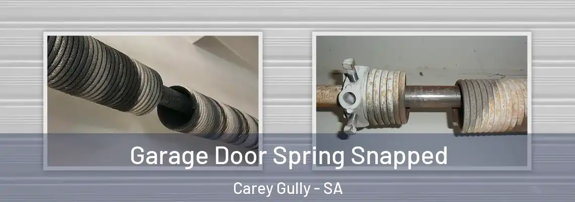  Garage Door Spring Snapped Carey Gully - SA