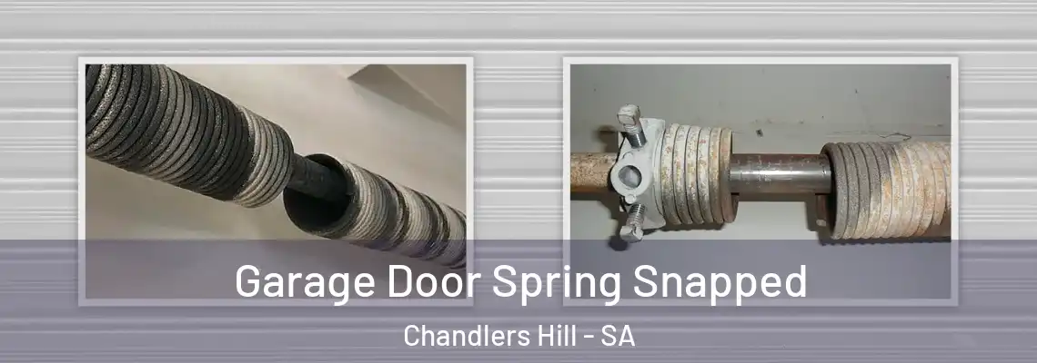 Garage Door Spring Snapped Chandlers Hill - SA
