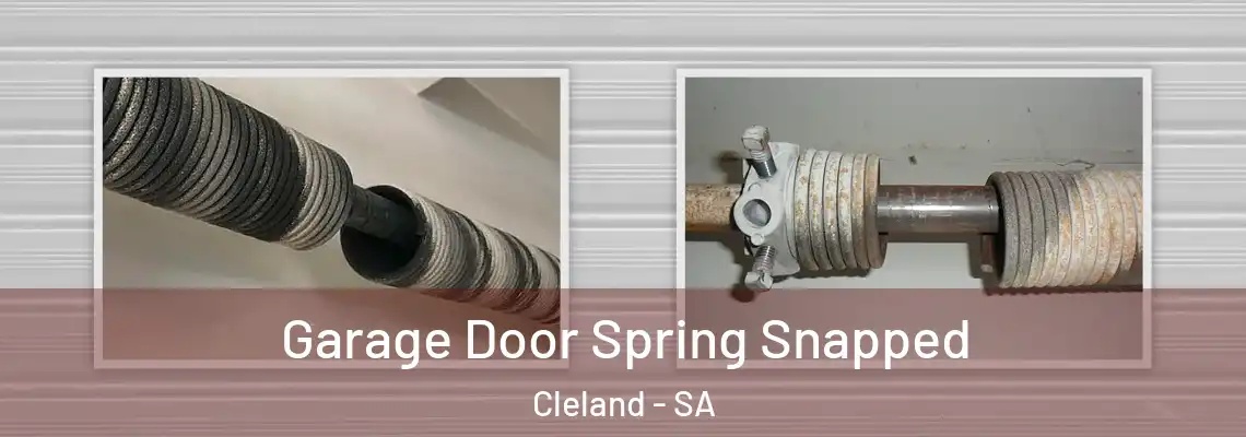  Garage Door Spring Snapped Cleland - SA
