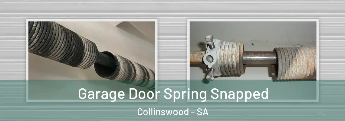  Garage Door Spring Snapped Collinswood - SA